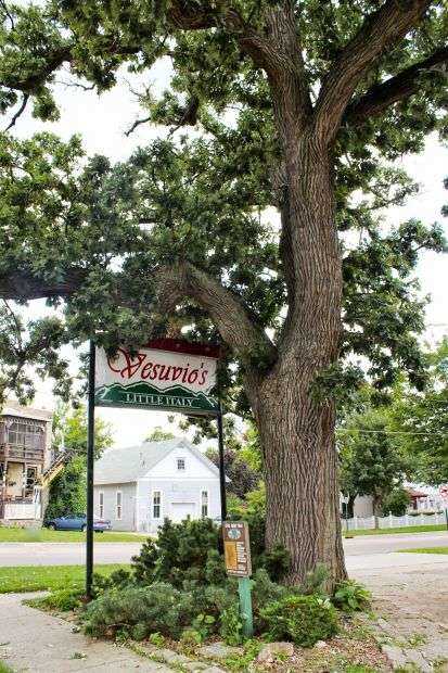 CIVIL WAR TREE MEMORIAL