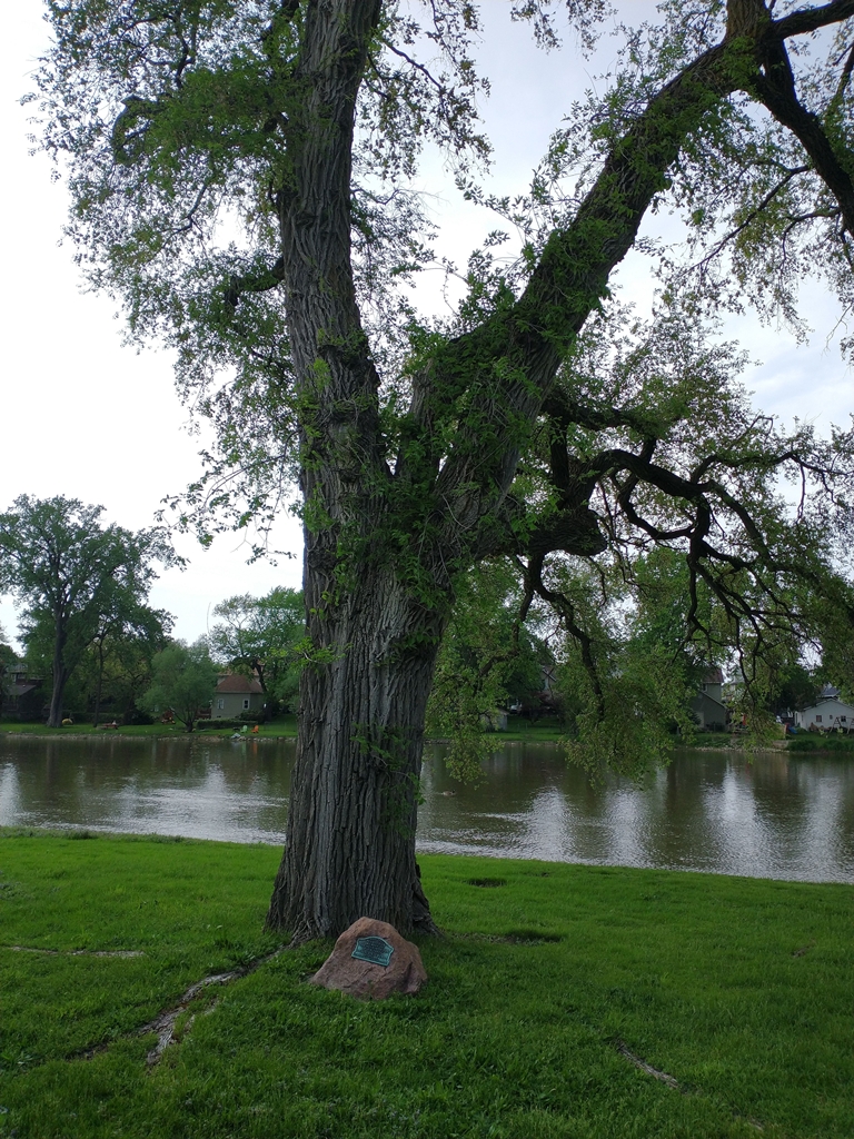 JOYCE KILMER MEMORIAL TREE