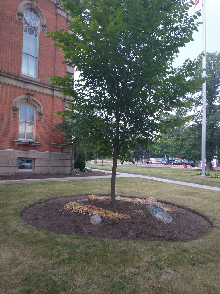 GEORGE WASHINGTON TREE MEMORIAL
