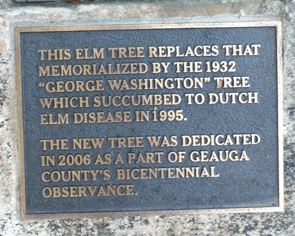 GEORGE WASHINGTON TREE MEMORIAL PLAQUE B