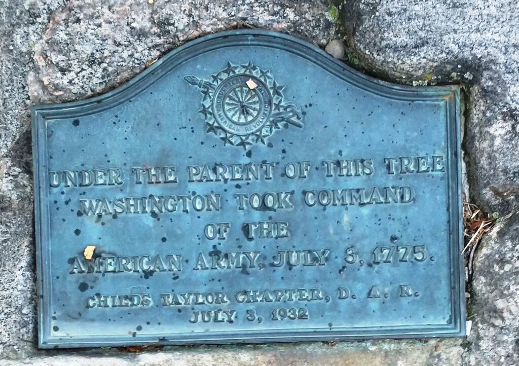 GEORGE WASHINGTON TREE MEMORIAL PLAQUE A