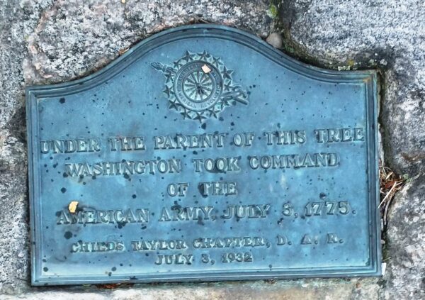 GEORGE WASHINGTON TREE MEMORIAL PLAQUE A