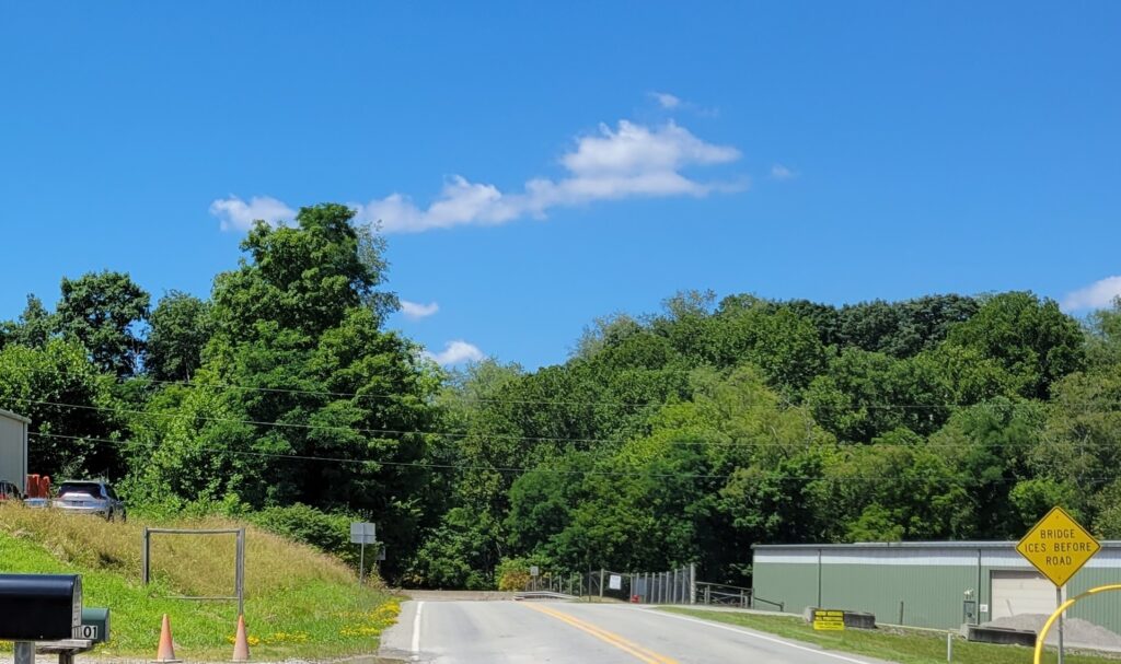 GREEN COUNTY WORLD WAR SUPREME SACRIFICE MEMORIAL TREES