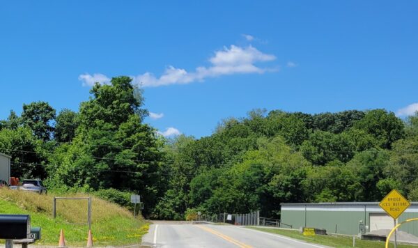 GREEN COUNTY WORLD WAR SUPREME SACRIFICE MEMORIAL TREES