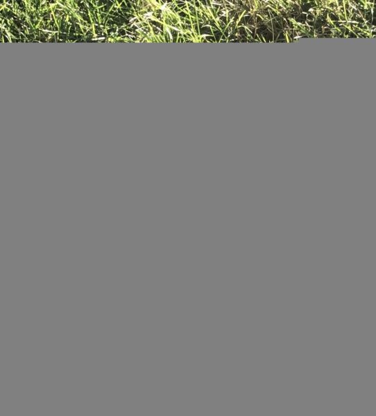 IRAR PALMER SOLDIER OF WORLD WAR MEMORIAL PLAQUE