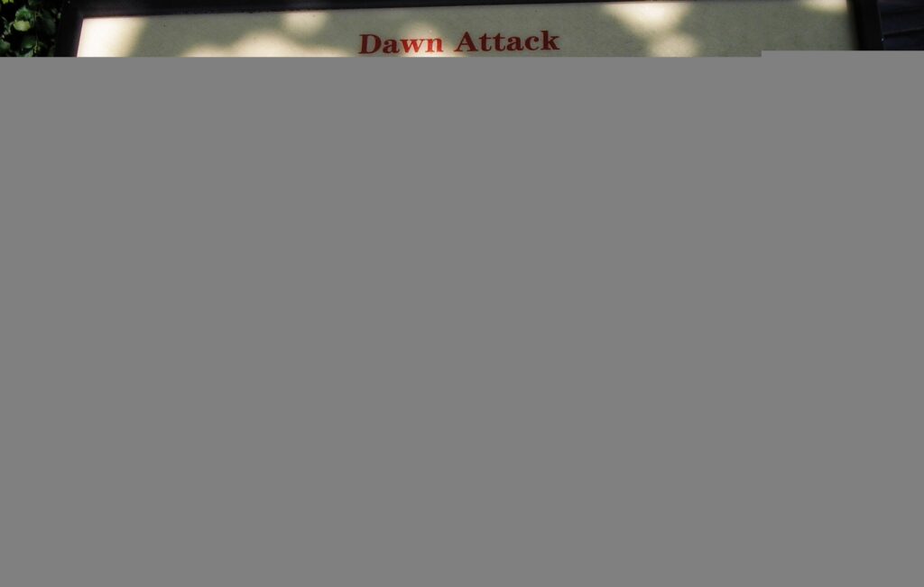 DAWN ATTACK WAR MEMORIAL PANEL