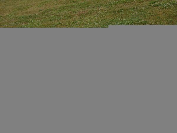 DAV CHAPTER #40 VETERANS MEMORIAL BENCH