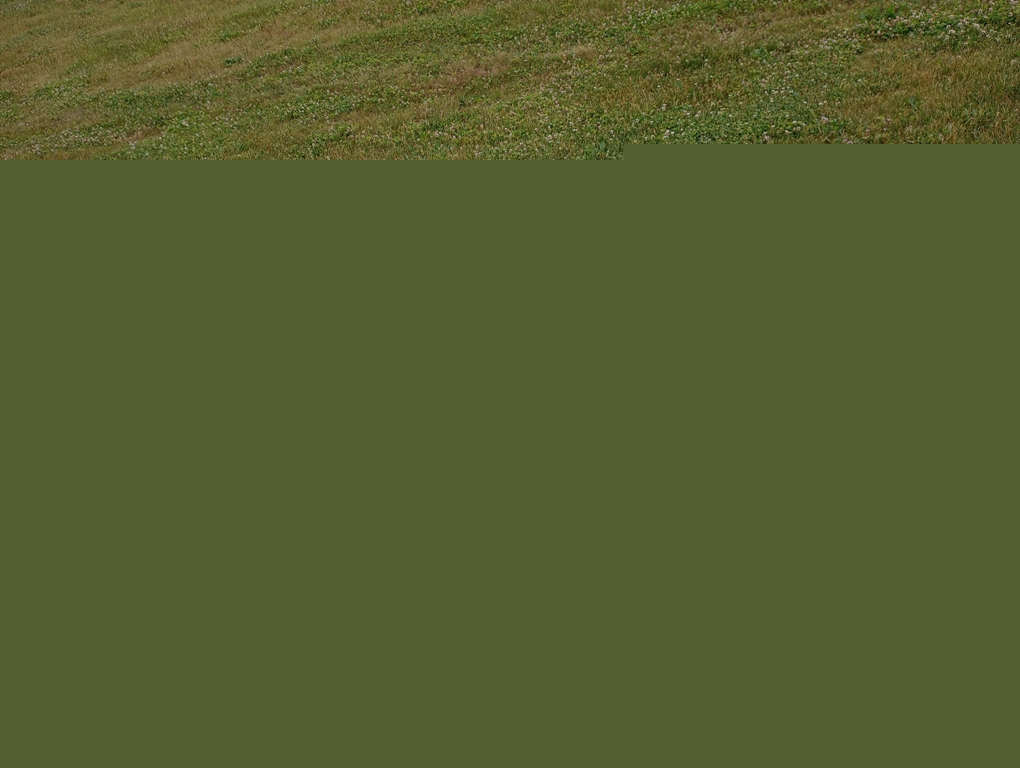 DAV CHAPTER #40 VETERANS MEMORIAL BENCH