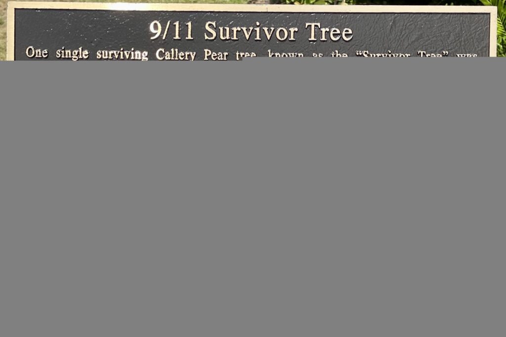 9/11 SURVIVOR TREE MEMORIAL PLAQUE