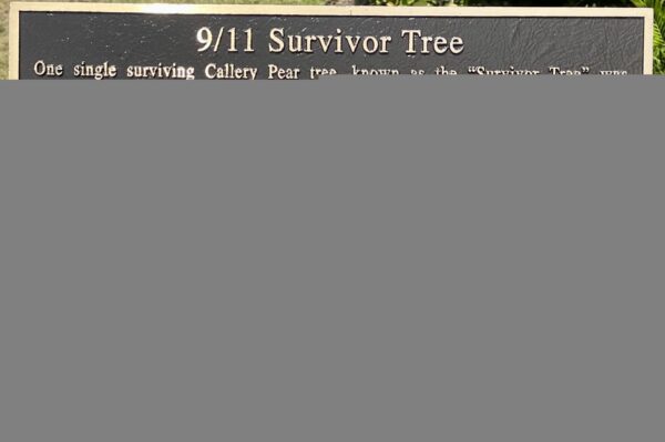 9/11 SURVIVOR TREE MEMORIAL PLAQUE