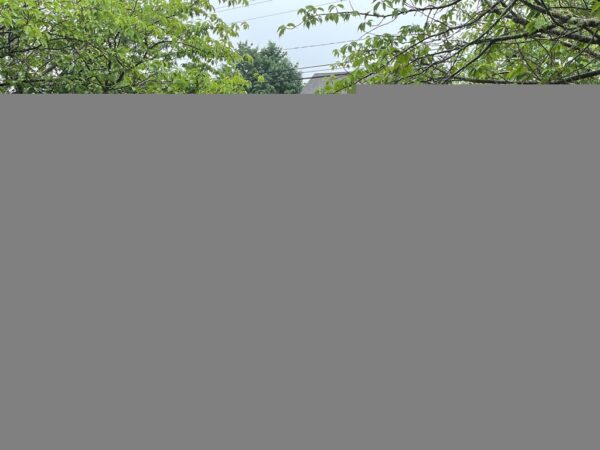 TOWN OF STONINGTON VETERANS MEMORIAL