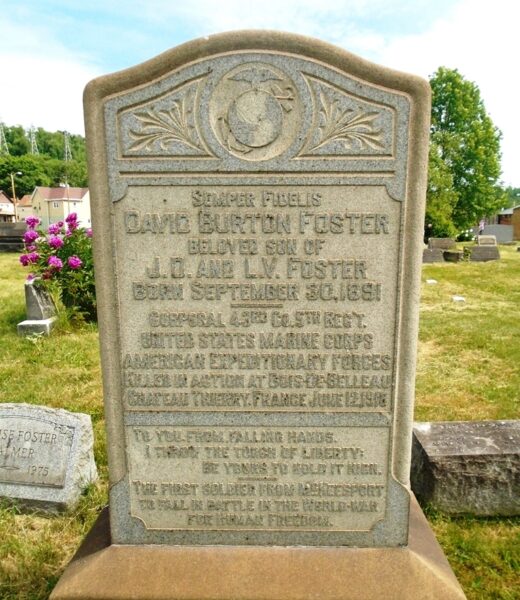 DAVID BURTON FOSTER WAR MEMORIAL CEMETERY STONE
