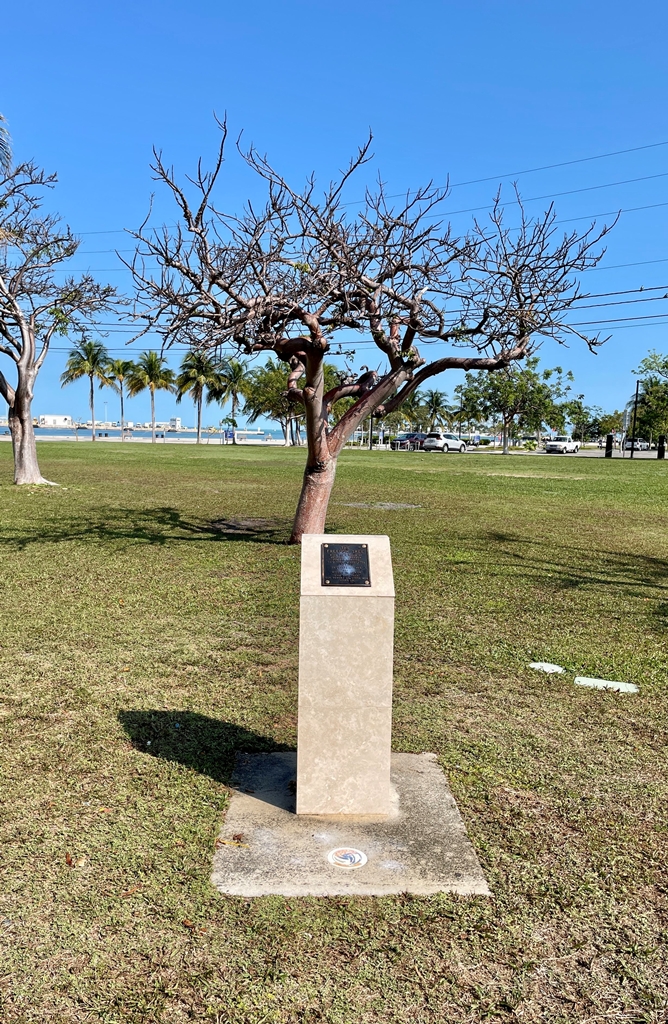 THE FREEDOM TREE WAR MEMORIAL KEY WEST