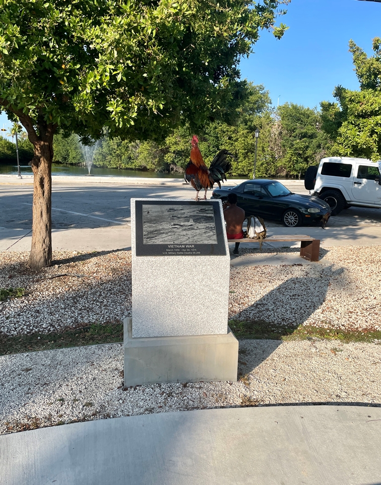 BAYVIEW PARK VIETNAM WAR MEMORIAL