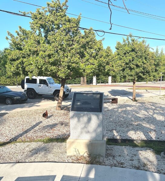 BAYVIEW PARK GULF WAR MEMORIAL