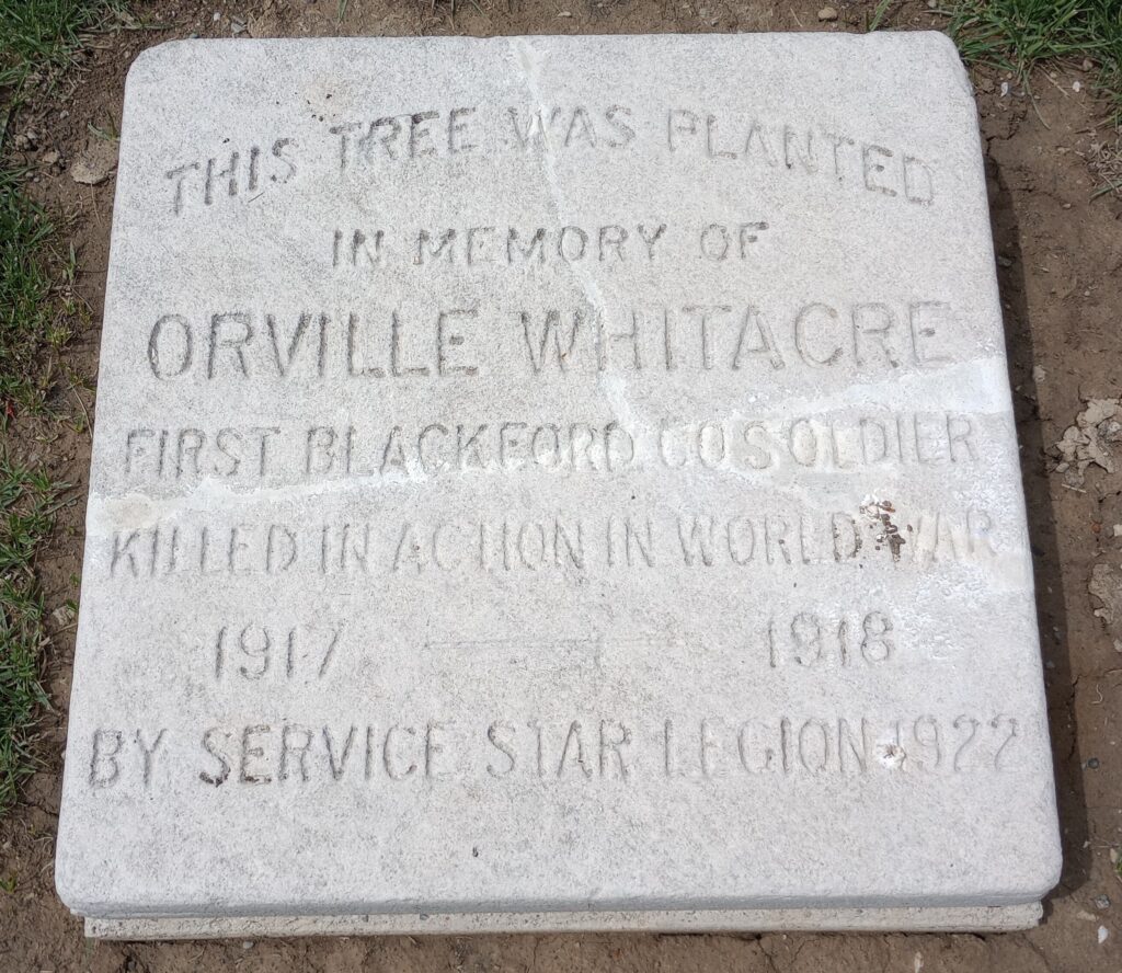 ORVILLE WHITACRE WAR MEMORIAL TREE STONE