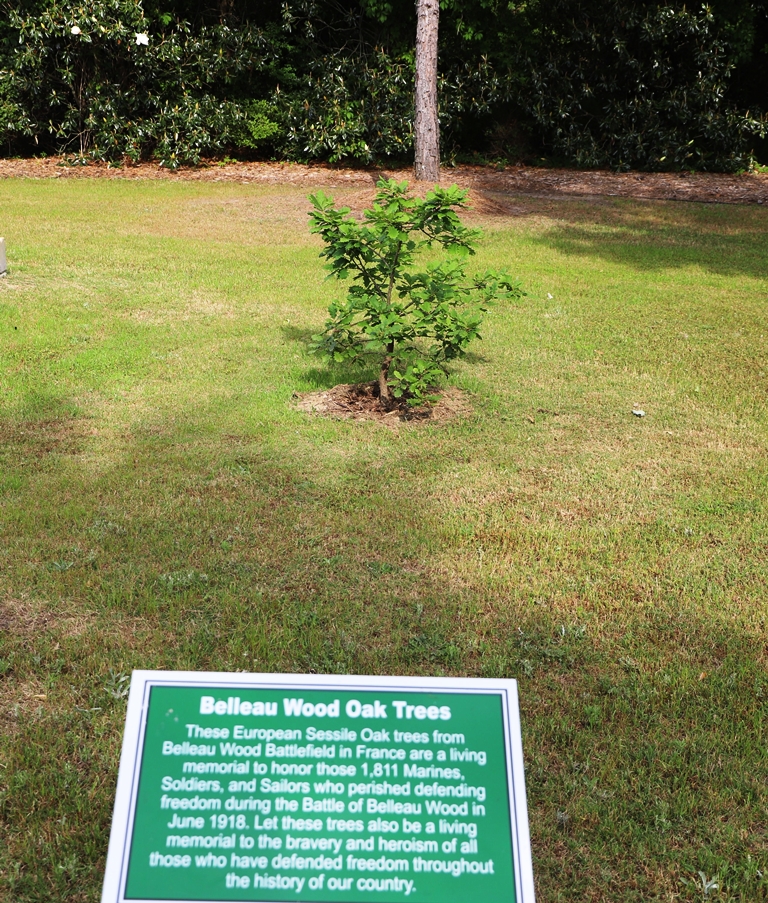 BELLEAU WOOD OAK TREES MEMORIAL
