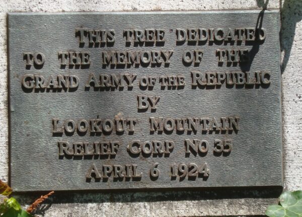 LOOKOUT MOUNTAIN RELIEF COPR NO 35 MEMORIAL TREE PLAQUE