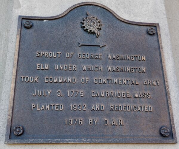 SPROUT OF GEORGE WASHINGTON ELM MEMORIAL PLAQUE