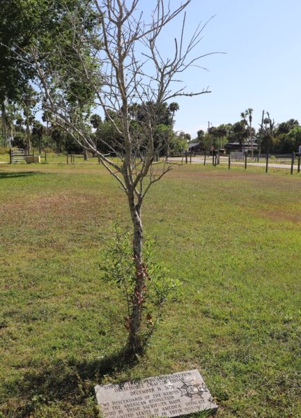 OKEECHOBEE LIBERTY TREE MEMORIAL