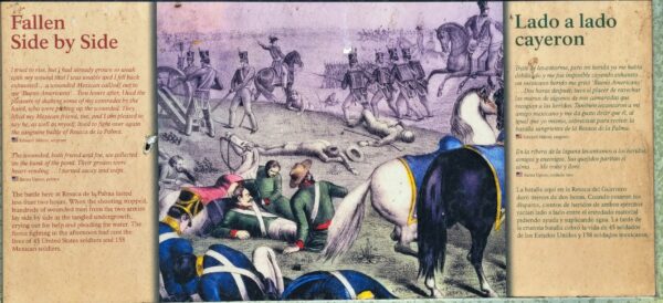 FALLEN SIDE BY SIDE WAR MEMORIAL PANEL