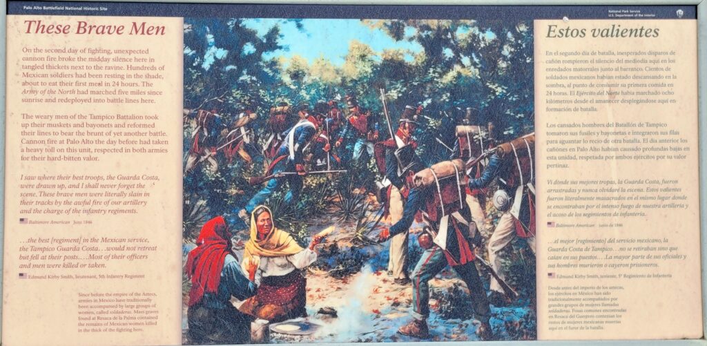 THESE BRAVE MEN WAR MEMORIAL PANEL