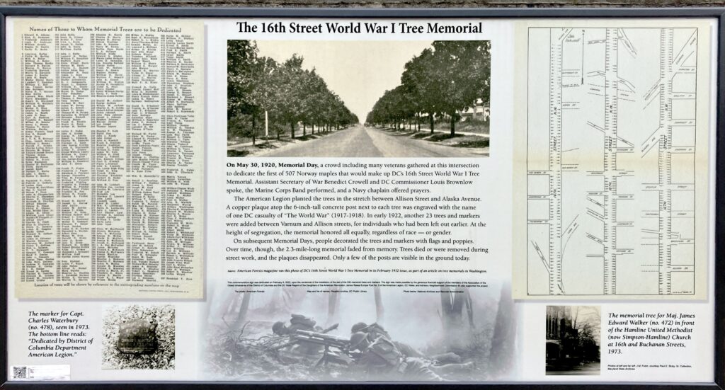 THE 16TH STREET WORLD WAR I TREE MEMORIAL PLAQUE