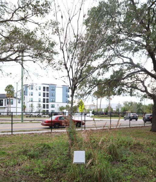 TAMPA LIBERTY TREE MEMORIAL