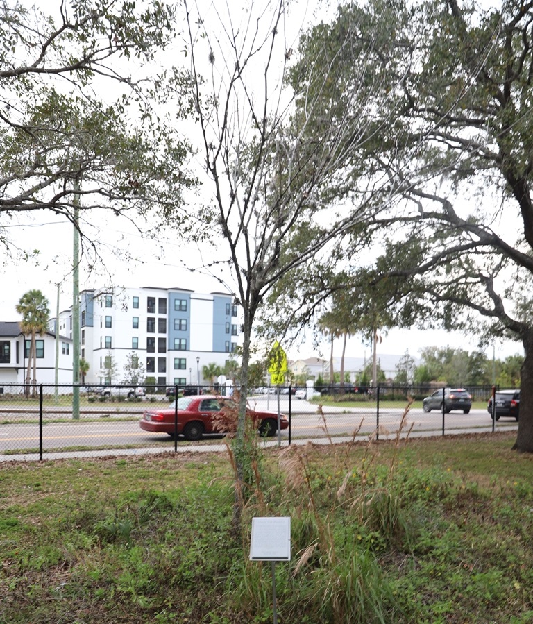TAMPA LIBERTY TREE MEMORIAL