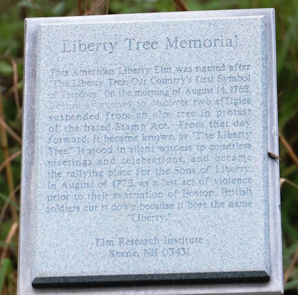 TAMPA LIBERTY TREE MEMORIAL PLAQUE