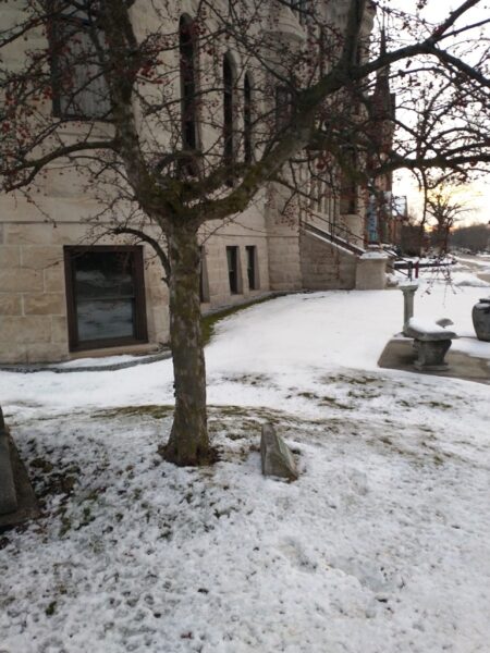 PLANTED IN HONOR OF THE GRAND ARMY OF THE REPUBLIC MEMORIAL TREE