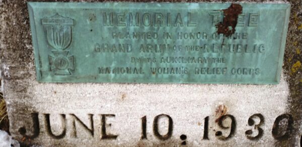 PLANTED IN HONOR OF THE GRAND ARMY OF THE REPUBLIC MEMORIAL TREE PLAQUE