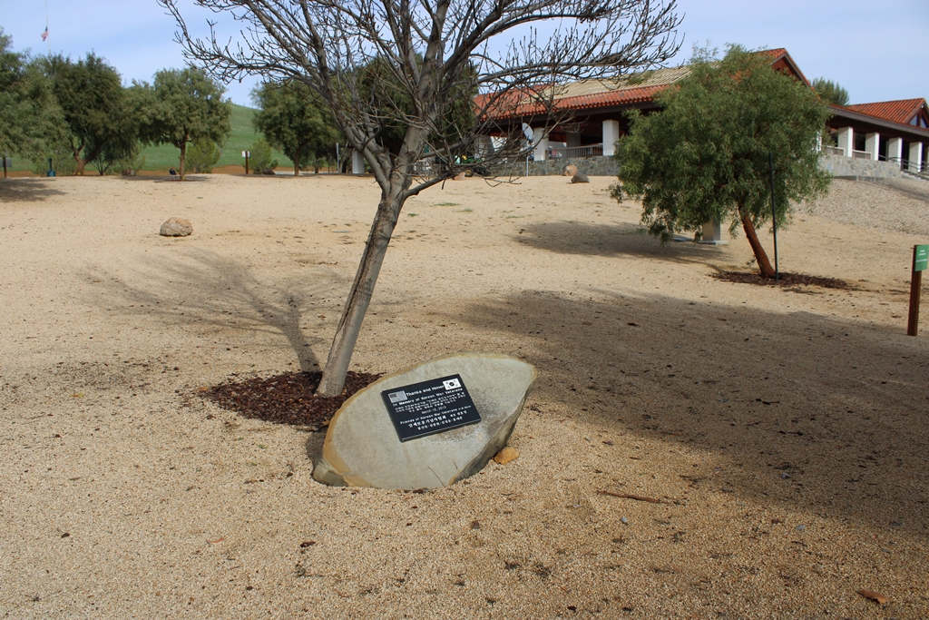 THANKS AND HONOR KOREAN WAR VETERANS MEMORIAL TREE