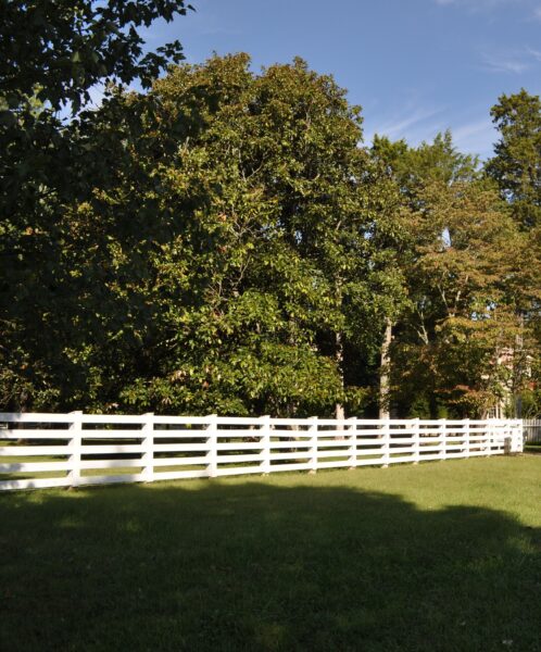 THE WAR ROAD MEMORIAL TREES
