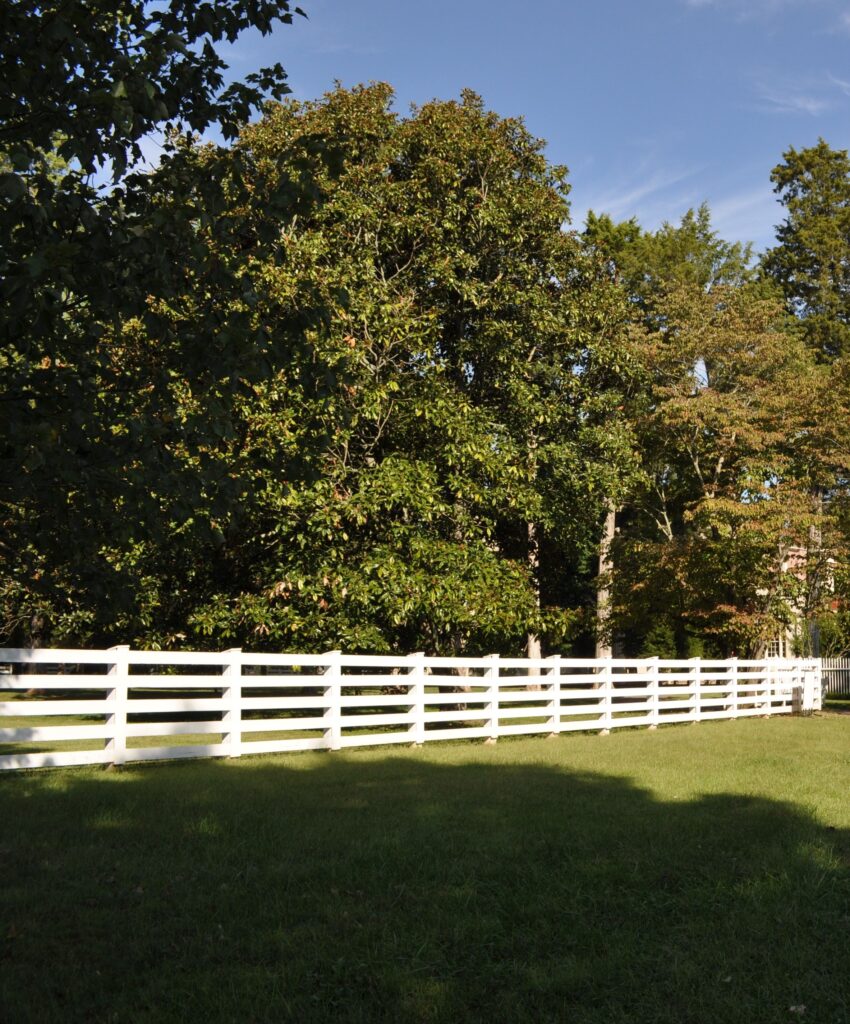 THE WAR ROAD MEMORIAL TREES