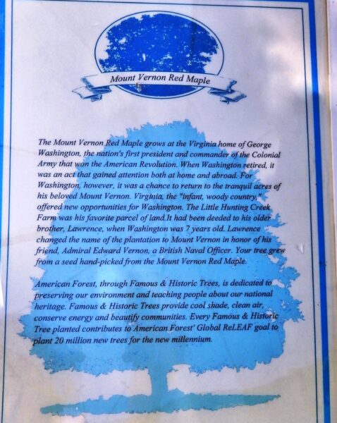 MOUNT VERNON RED MAPLE MEMORIAL PLAQUE