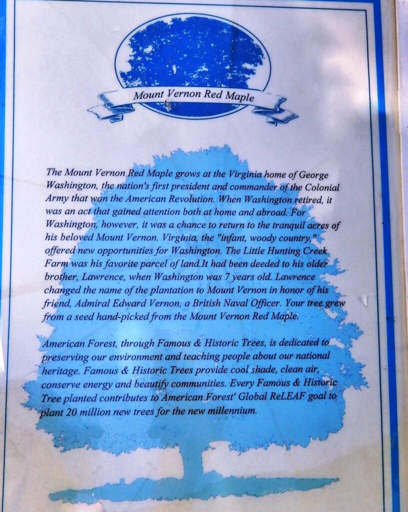 MOUNT VERNON RED MAPLE MEMORIAL PLAQUE