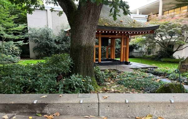 GEORGE WASHINGTON BICENTENNIAL YEAR MEMORIAL TREE