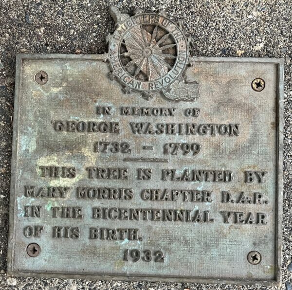 GEORGE WASHINGTON BICENTENNIAL YEAR MEMORIAL TREE PLAQUE