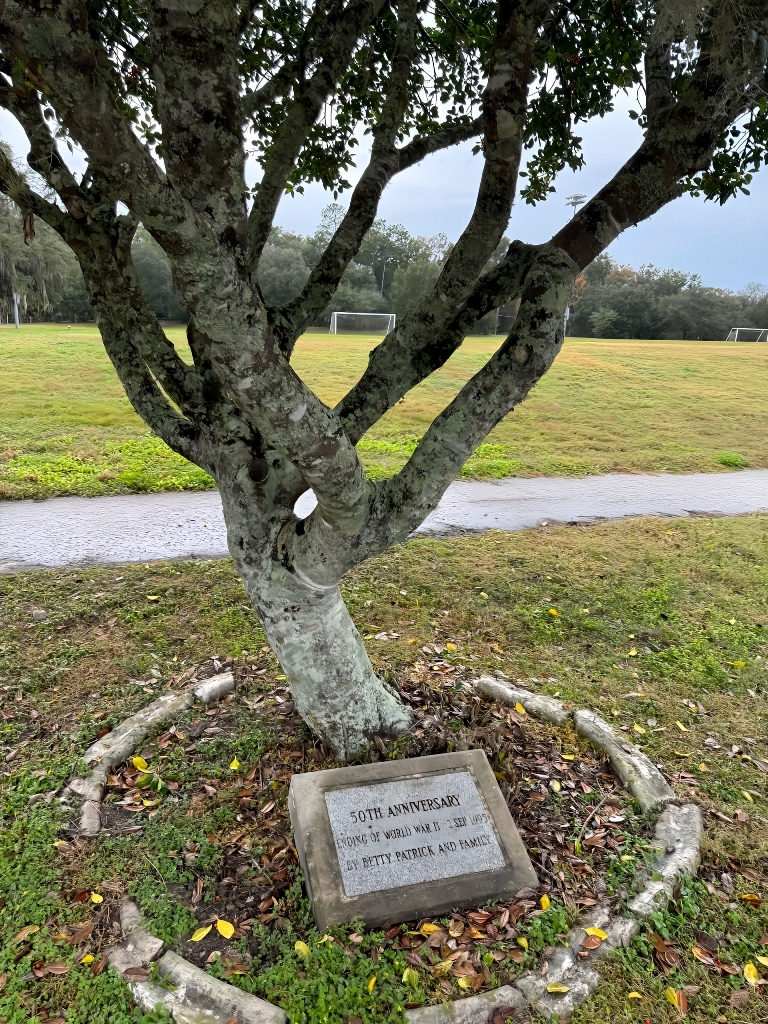 50TH ANNIVERSITY ENDING OF WORLD WAR II MEMORIAL TREE