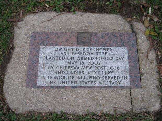 DWIGHT D. EISENHOWER ASH FREEDOM MEMORIAL TREE