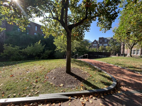 UNIVERSITY OF PENNSYLVANIA 9/11 MEMORIAL TREE