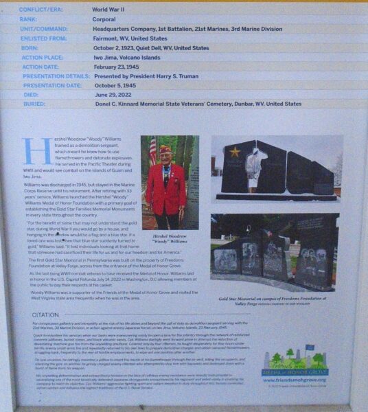 HERSCHEL WOODROW “WOODY” WILSON MEDAL OF HONOR WAR MEMORIAL PLAQUE CLOSE-UP