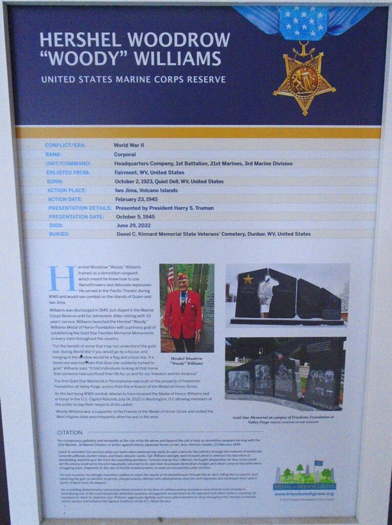 HERSCHEL WOODROW “WOODY” WILSON MEDAL OF HONOR WAR MEMORIAL PLAQUE