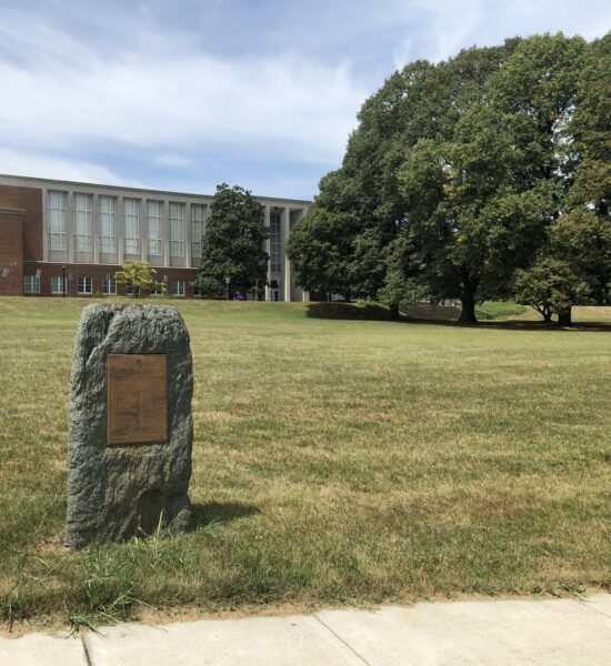 MEMORIAL AVENUE TREES