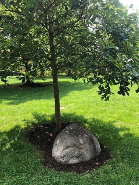 BERWYN SEPTEMBER 11, 2001 MEMORIAL TREE