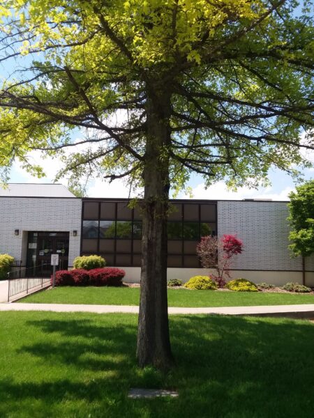 DELPHOS PERSIAN GULF WAR MEMORIAL TREE