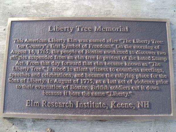 STAMFORD LIBERTY TREE MEMORIAL PLAQUE