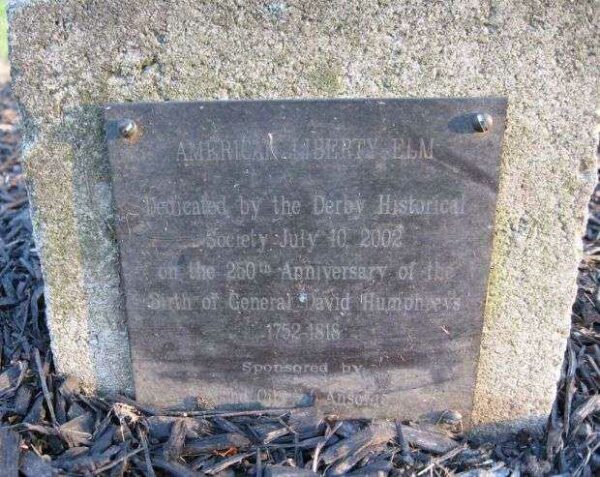 ANSONIA AMERICAN LIBERTY ELM MEMORIAL TREE PLAQUE