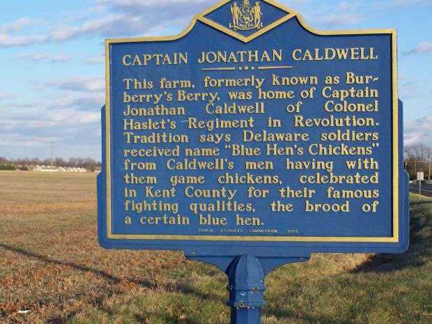 CAPTAIN JONATHAN CALDWELL WAR MEMORIAL MARKER